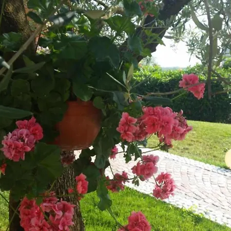 Alenka - One Bedroom Rovinj